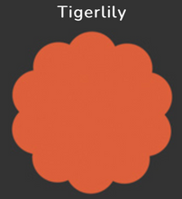 Load image into Gallery viewer, Susie B Quilt Kit-Two Color