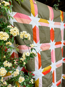 Desert Cactus Edna Quilt Kit