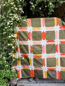 Desert Cactus Edna Quilt Kit