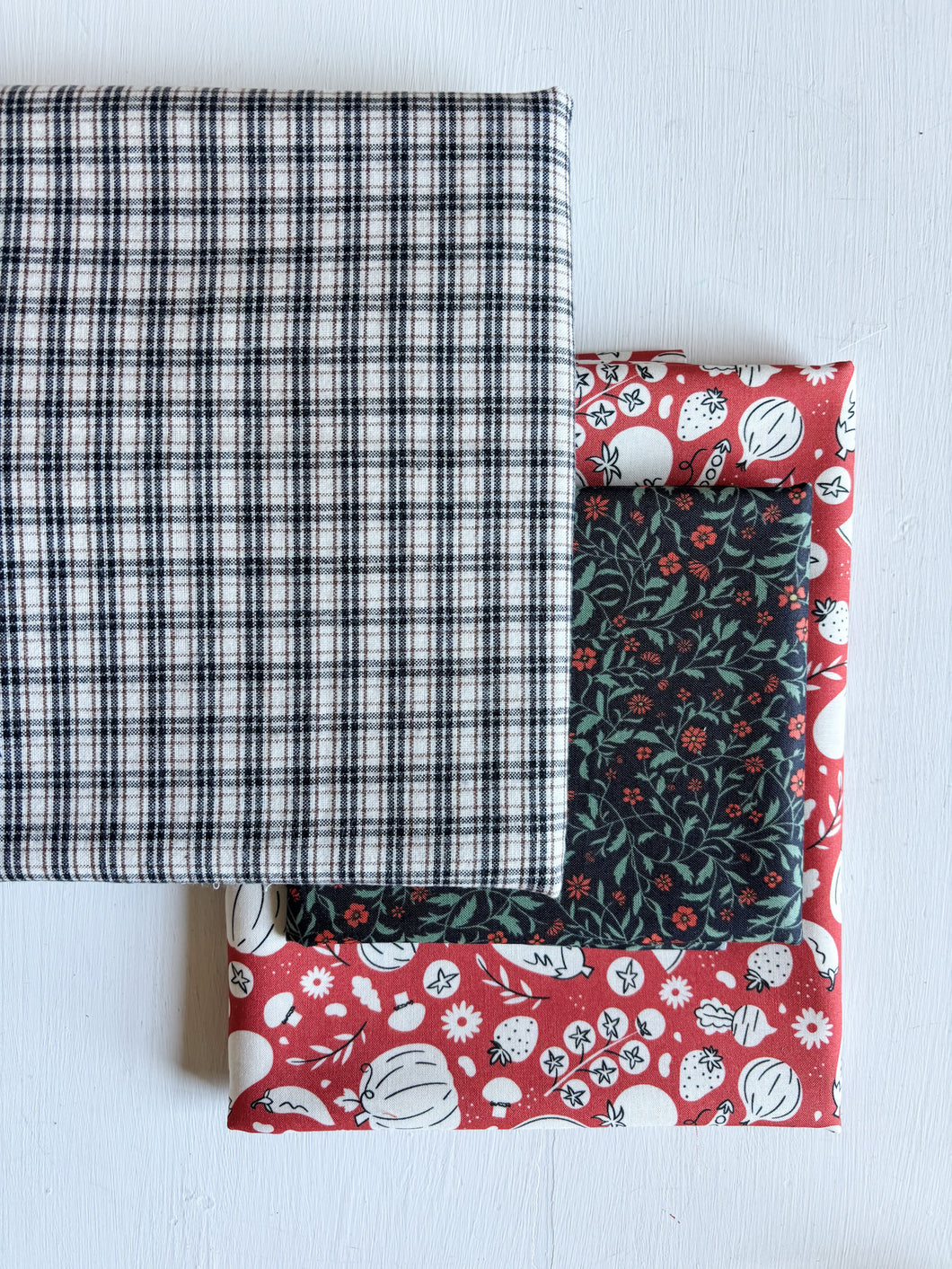 Veggie Patch & Plaid Wholecloth Quilt Kit