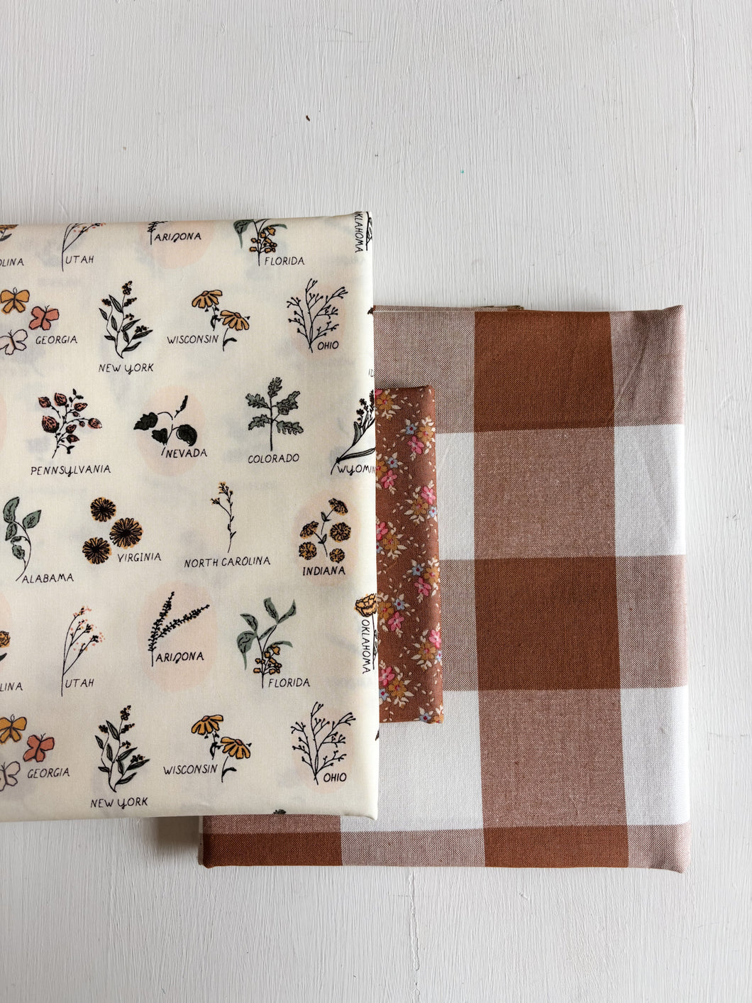 Wildflowers + Camp Gingham Wholecloth Quilt Kit