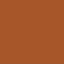 Load image into Gallery viewer, Apple Cider | AGF Pure Solids
