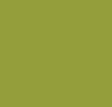 Load image into Gallery viewer, Dark Citron | AGF Pure Solids

