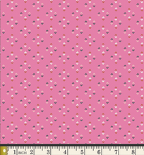 Load image into Gallery viewer, Lucy Rose | AGF
