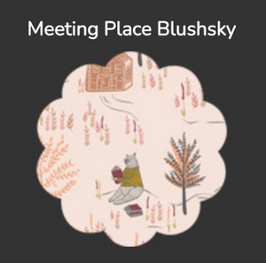 Meeting Place Blushsky | AGF