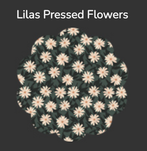 Lilas Pressed Flowers | AGF
