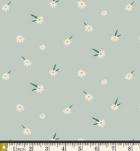 Load image into Gallery viewer, Dancing Daisies | AGF
