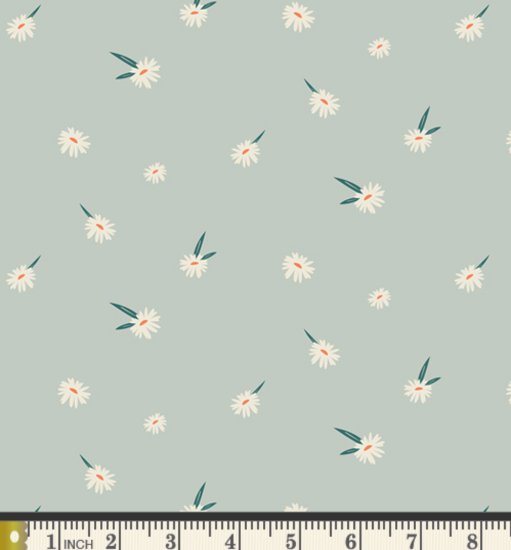 Dancing Daisies | AGF