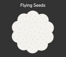 Load image into Gallery viewer, Flying Seeds | AGF

