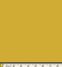 Load image into Gallery viewer, Sunny Days Double Irish Chain Quilt Kit
